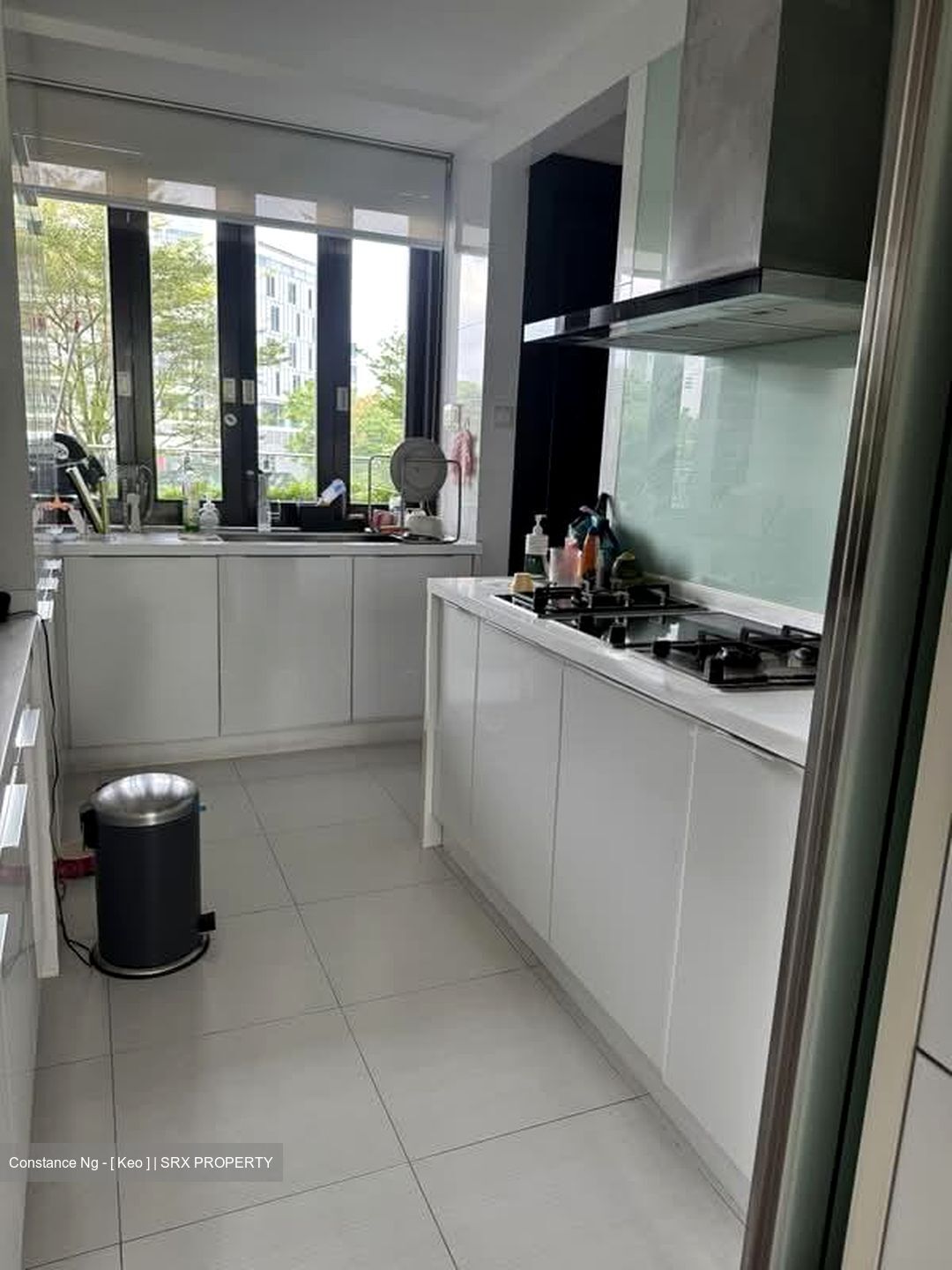 Jardin (D21), Condominium #568090011
